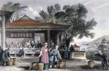 The Culture and Preparation of Tea China, 1843. Creator: Thomas Allom