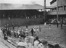The cushion bombardment of No 1 Court, Davis Cup, Wimbledon, 1935. Artist: Planet News Ltd