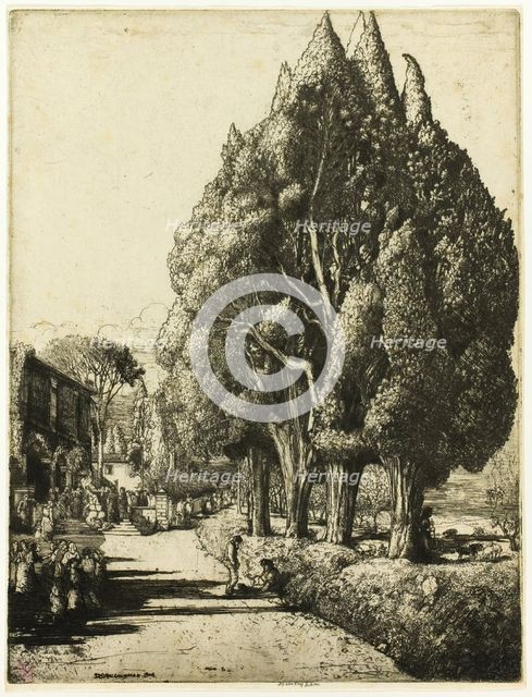 The Cypress Grove, 1904. Creator: Donald Shaw MacLaughlan.