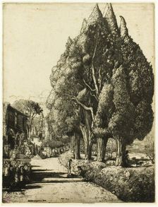 The Cypress Grove, 1904. Creator: Donald Shaw MacLaughlan