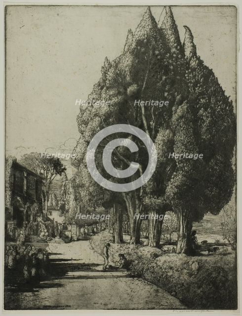 The Cypress Grove, 1904. Creator: Donald Shaw MacLaughlan.