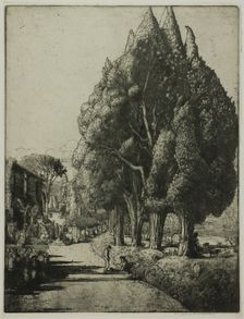 The Cypress Grove, 1904. Creator: Donald Shaw MacLaughlan