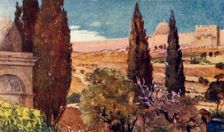 The Cypresses of the Garden of Gethsemane 1902. Creator: John Fulleylove