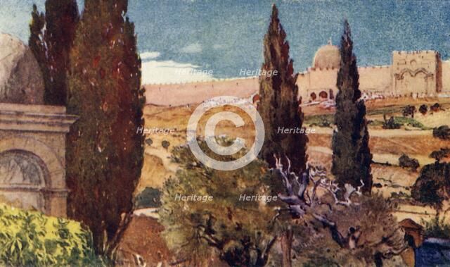 'The Cypresses of the Garden of Gethsemane', 1902. Creator: John Fulleylove.