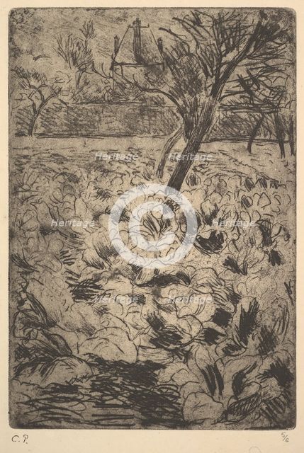 The Cabbage Field, ca. 1880. Creator: Camille Pissarro.
