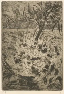 The Cabbage Field (Le champ de choux), c. 1880. Creator: Camille Pissarro