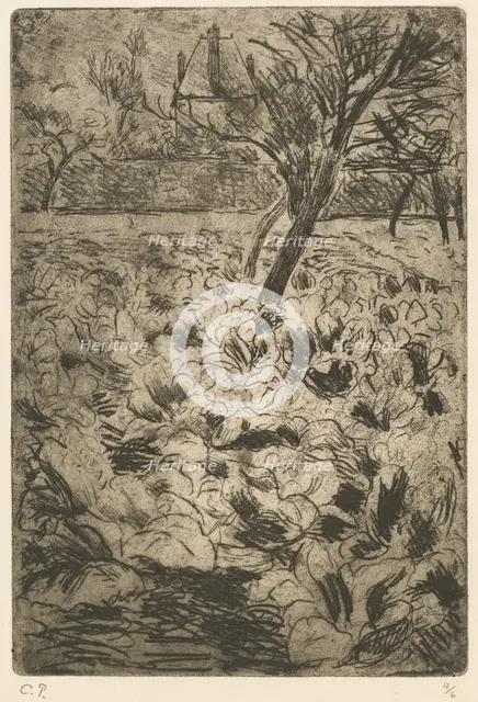 The Cabbage Field (Le champ de choux), c. 1880. Creator: Camille Pissarro.