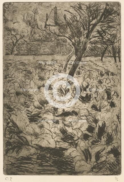 The Cabbage Field (Le champ de choux), c. 1880. Creator: Camille Pissarro.