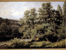 The Cagigona Oil on canvas by Agustin Riancho