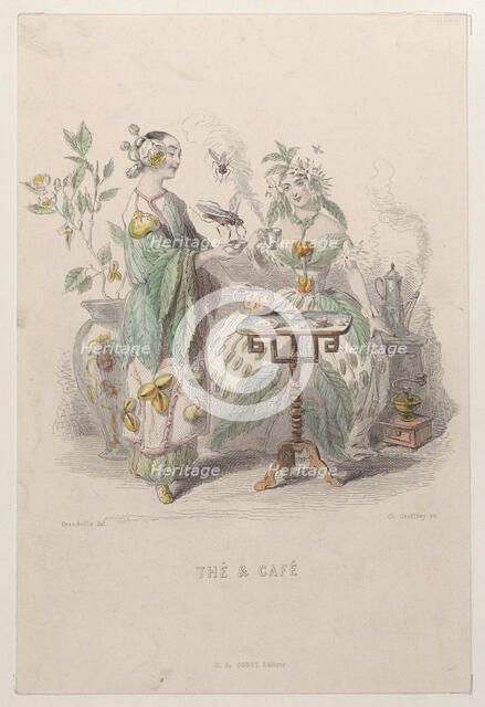 Thé & Café, from Les Fleurs Animées, 1847. Creator: Charles-Michel Geoffroy.
