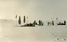 The Camp After Passing the Previous Farthest South Latitude November 1908, (1909)