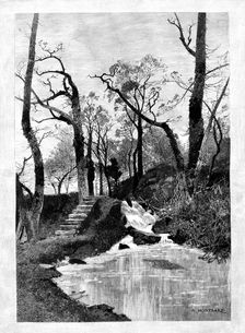 The Cascade in Hawarden Park, 1898. Creator: Unknown