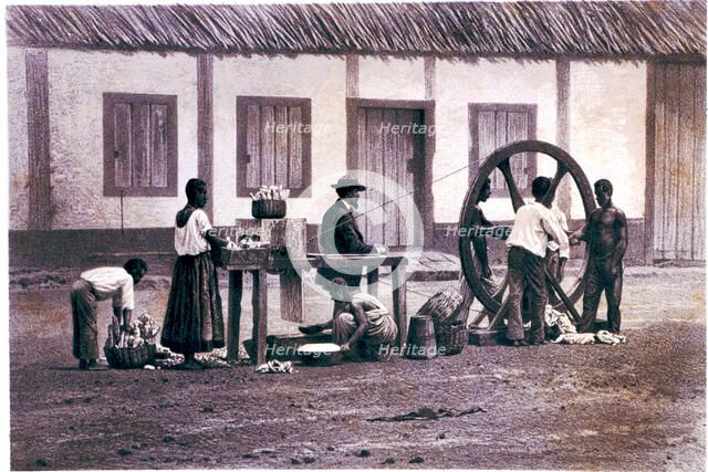 The cassava mill, work in a farming plantation with slaves, lithograph.