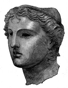 The Castellani Collection in the British Museum - bronze head of Venus, 1873. Creator: Unknown