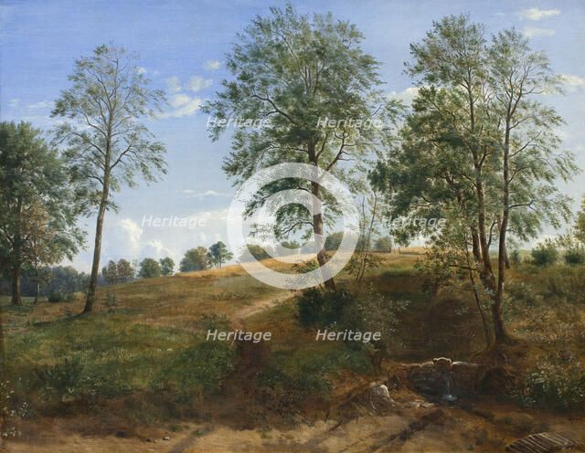 The Caroline Spring at Næsby on Funen, 1844-1845. Creator: Dankvart Dreyer.