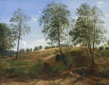 The Caroline Spring at Næsby on Funen, 1844-1845. Creator: Dankvart Dreyer