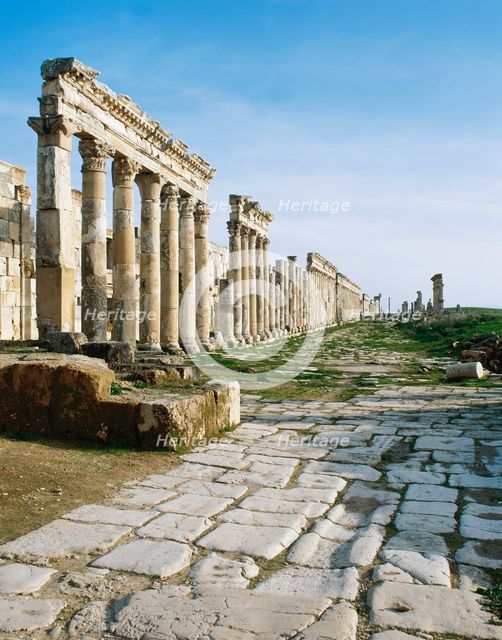 The Cardo Maximus, Apamea city, Syria, Roman, 2nd century, (2005). Creator: LTL.