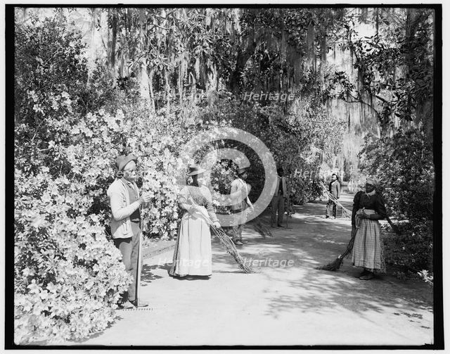 The caretakers, Magnolia-on-the-Ashley i.e. Magnolia Gardens, Charleston, S.C., c1900. Creator: William H. Jackson.