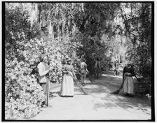 The caretakers, Magnolia-on-the-Ashley i.e. Magnolia Gardens, Charleston, S.C., c1900. Creator: William H. Jackson