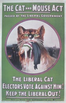 The Cat and Mouse Act 1914