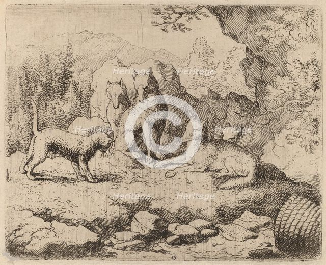 The Cat Sent as Messenger, probably c. 1645/1656. Creator: Allart van Everdingen.