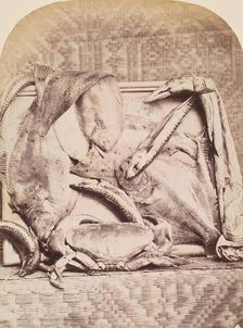 The Catch, Perthshire, from an album compiled by Sir John Everett Millais. Creator: Unknown