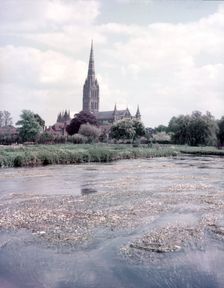 The Cathedral, Salisbury, Wiltshire, c1955. Creator: Arthur Charles Kirby Ware