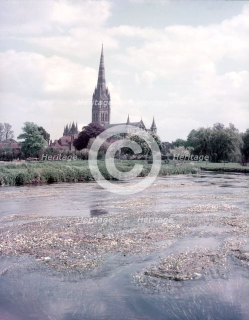 The Cathedral, Salisbury, Wiltshire, c1955. Creator: Arthur Charles Kirby Ware.