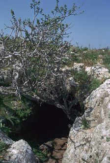 The Cave of Eileithyia