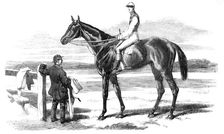 The Celebrated Race-Horse "Fisherman", 1857. Creator: Unknown