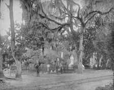 The Cemetery of Bonaventure 19th century