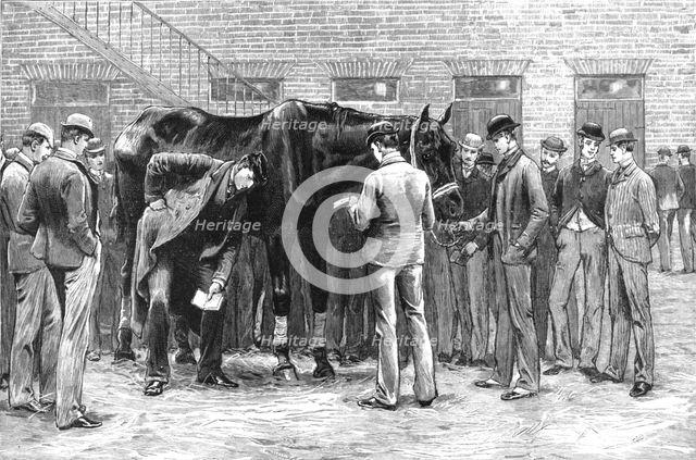 'The Centenary of the Royal Veterinary College, Camden Town; Free Practice -- Sounding...', 1819. Creator: Unknown.