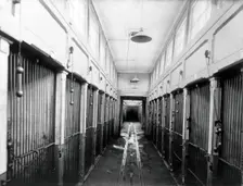The central corridor of the vivarium (animal house) with cages for the animals, in the..., 1904. Creator: Unknown