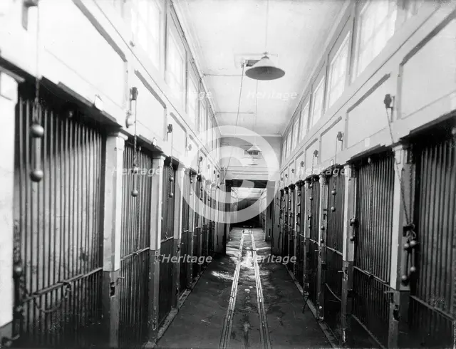 The central corridor of the vivarium (animal house) with cages for the animals, in the..., 1904. Creator: Unknown.