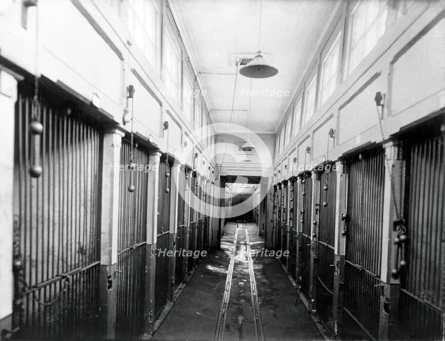 The central corridor of the vivarium (animal house) with cages for the animals, in the..., 1904. Creator: Unknown.