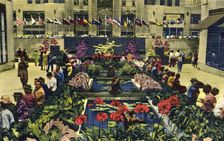 The Channel Gardens, Rockefeller Center, New York, 1951