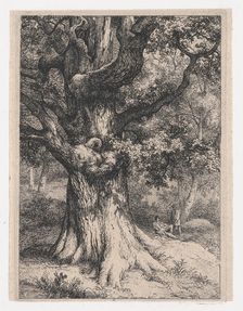 The Charlemagne, Oak Tree with an Eagle's Nest, 1845. Creator: Eugene Blery