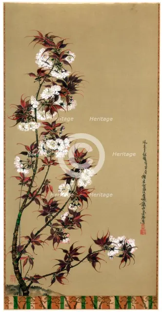 'The Cherry Blossoms of Mikawa', 19th century (1886). Artist: Wilhelm Greve