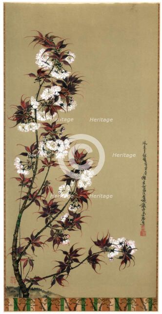 'The Cherry Blossoms of Mikawa', 19th century (1886). Artist: Wilhelm Greve