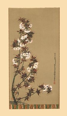 The Cherry Blossoms of Mikawa 19th century, (1886). Artist: Wilhelm Greve