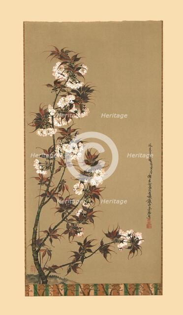 'The Cherry Blossoms of Mikawa', 19th century, (1886). Artist: Wilhelm Greve.