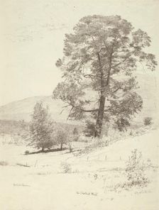 The Chestnut Tree, c1920s. Creator: Bolton Coit Brown