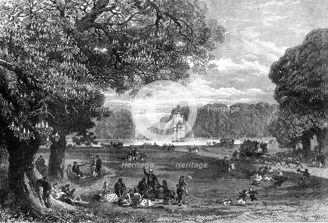 The chestnut-trees in Bushey Park, 1871. Creator: RCH.