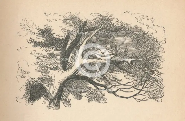 'The Cheshire Cat begins to fade away, it's his smile the last to go', 1889. Artist: John Tenniel.