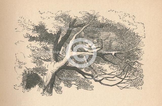 'The Cheshire Cat begins to fade away, it's his smile the last to go', 1889. Artist: John Tenniel.