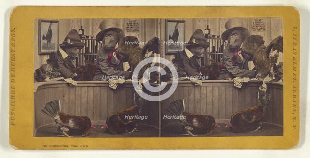 The Chicken dispute., 1870. Creator: Eugene S. M. Haines.