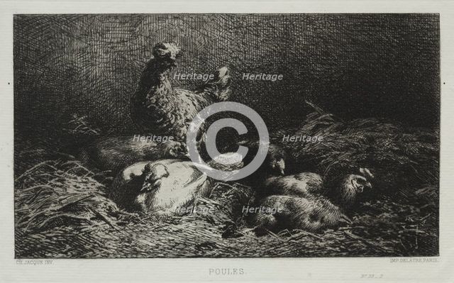 The Chickens. Creator: Charles-Émile Jacque (French, 1813-1894).