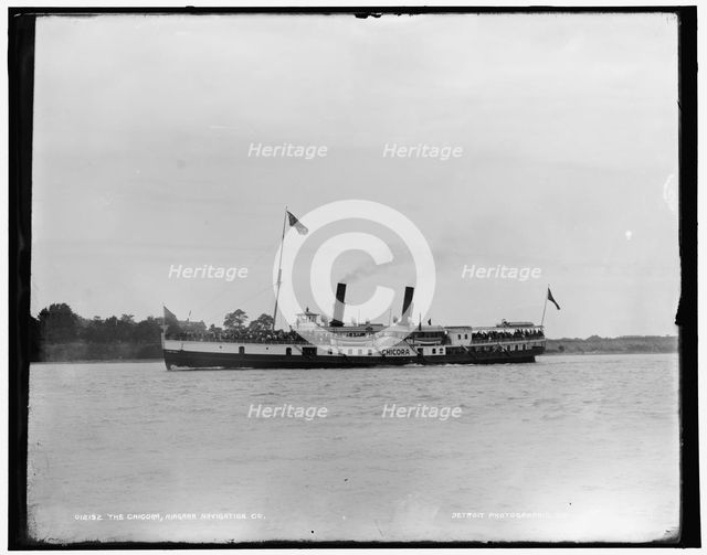 The Chicora, Niagara Navigation Co., between 1890 and 1901. Creator: Unknown.