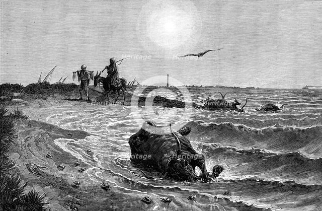 The Cholera in Egypt: its source and cause - scene on the shore at Damietta..., 1883. Creator: Unknown.