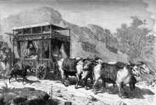 The Chopaya of Hindoo Travelling Carriage c1891. Creator: James Grant